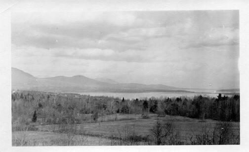 Landscape Scene 
