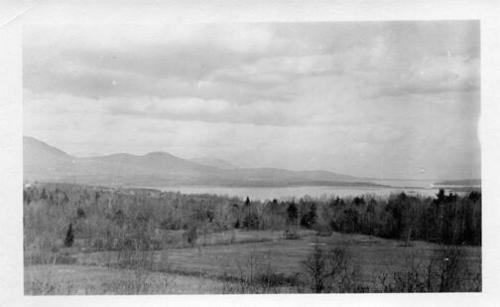 Landscape Scene 
