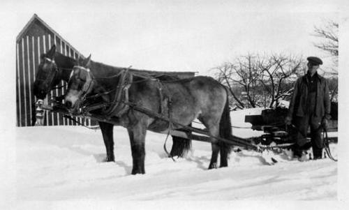 Men with Horse-Drawn Sleigh 
