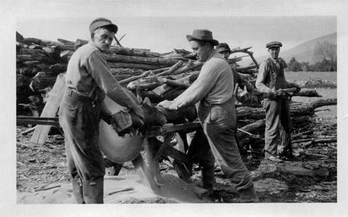 Men Cutting Wood 
