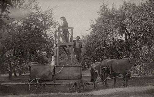 Orchard Spraying