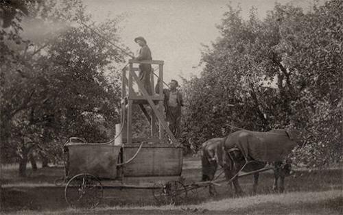 Orchard Spraying