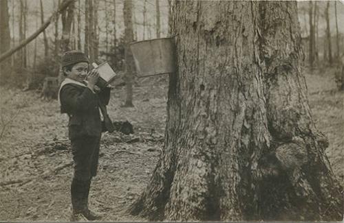 Maple Sugaring in Sandy Creek, NY
