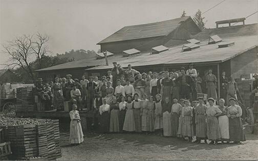 Canning Factory
