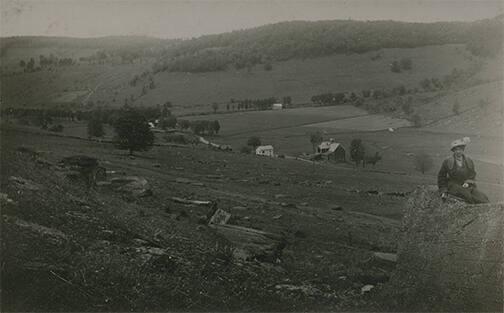 Landscape Scene from Delaware County, NY