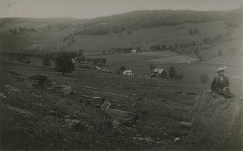 Landscape Scene from Delaware County, NY