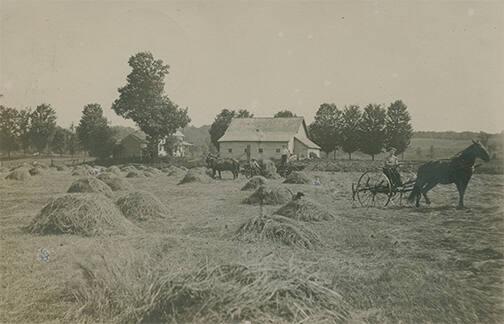 Tedding Hay in Camden, NY