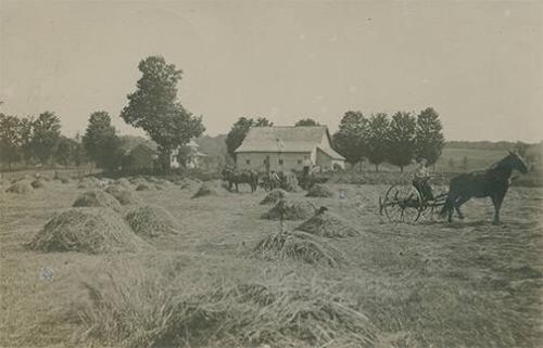 Tedding Hay in Camden, NY