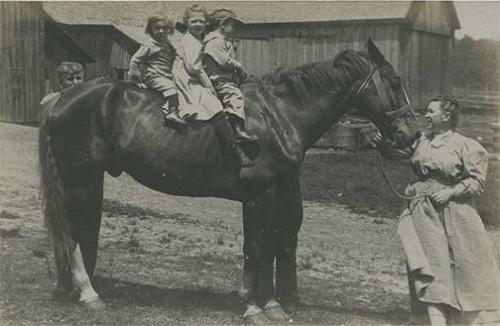 Three Children on a Horse