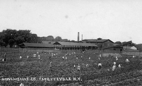Merrill Saule Co., Fayetteville, N.Y.