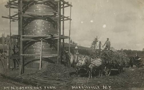 Filling Silo at N.Y. State Agricultural Farm, Morrisville, N.Y.