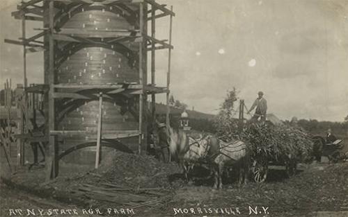 Filling Silo at N.Y. State Agricultural Farm, Morrisville, N.Y.