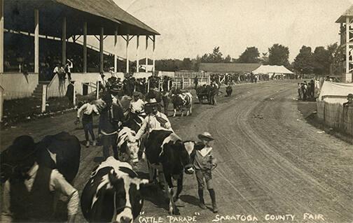 "Cattle Parade" at the Saratoga County Fair