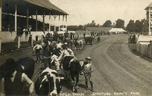 "Cattle Parade" at the Saratoga County Fair