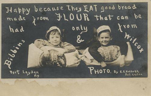Bibbins & Wilcox Flour