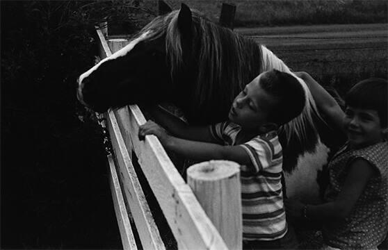 Boy and Girl in Fenced Pasture with Horse