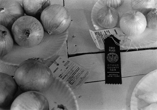 First Place Onion Display at Otsego County Fair