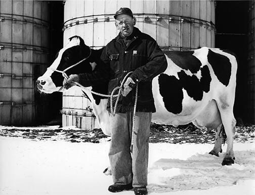 Farmer with Holstein Cow