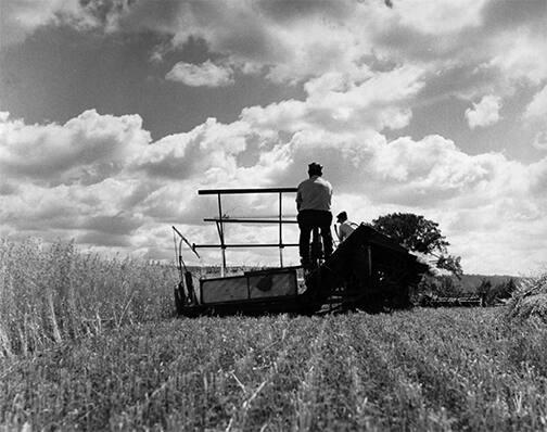 Farmers Operating a Reaper