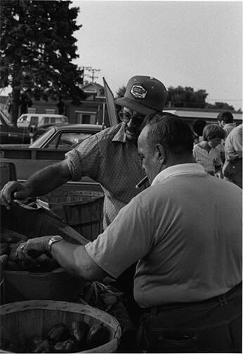 Farmer's Market 11