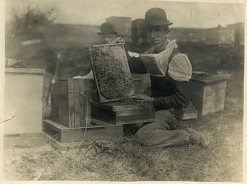 Beekeeper from Cherry Valley, NY