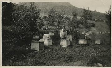 Beekeeper with his Hives
