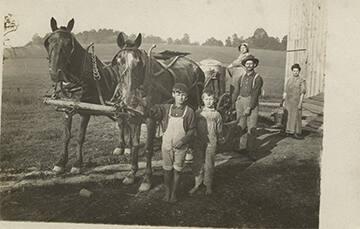 Transporting Milk by Horse Team