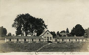 The Canaseraga Poultry Plant