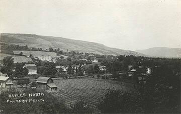 Vineyards in Naples, NY