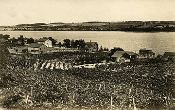 Keuka Lake Vineyards