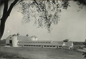 Barn with Unadilla Silos