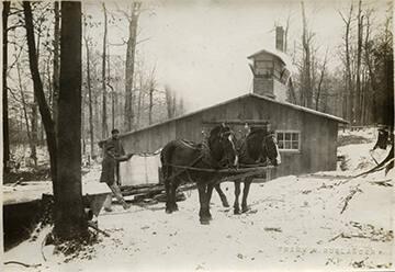 Maple Sugar House at J.N. Adams Memorial Hospital