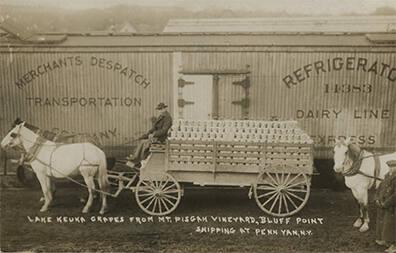Shipping Grapes from Penn Yan, NY