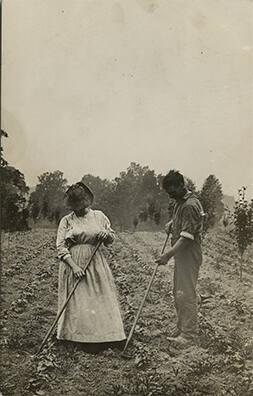 Working in a Bean Field