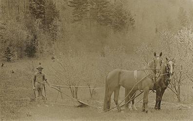 Horse-Drawn Plow