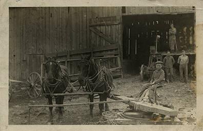 Horse Team