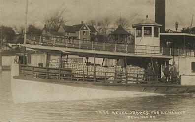 Transporting Grapes