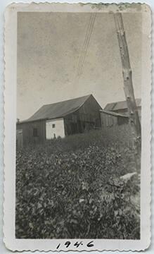 Farm on Long Island, New York