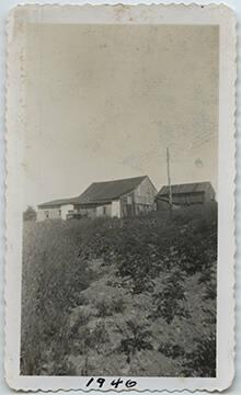 Farm on Long Island, New York