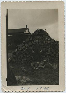 Pile of Wood