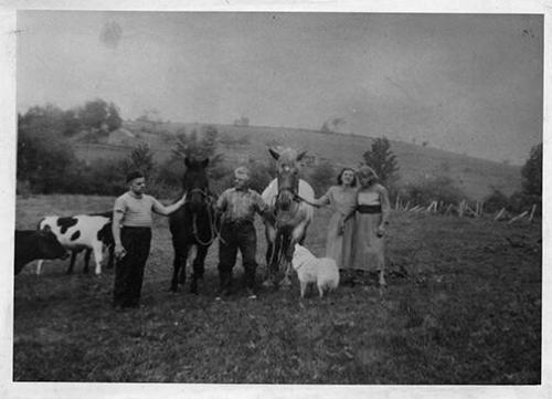 Group with Two Horses