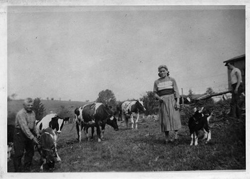 Cow Pasture