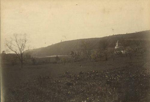 Orchard Landscape
