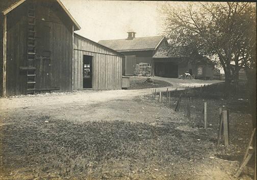 Barn Scene