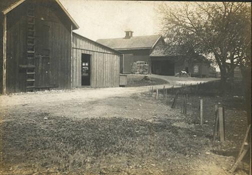 Barn Scene