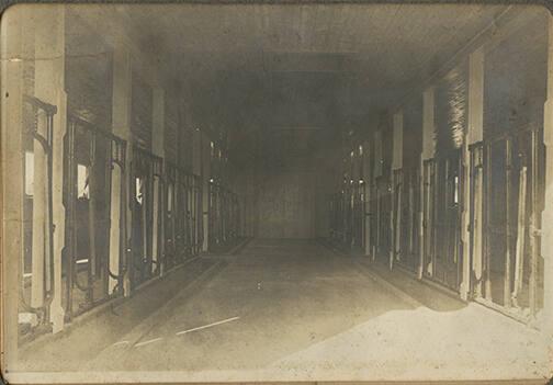 Milking Bay Interior