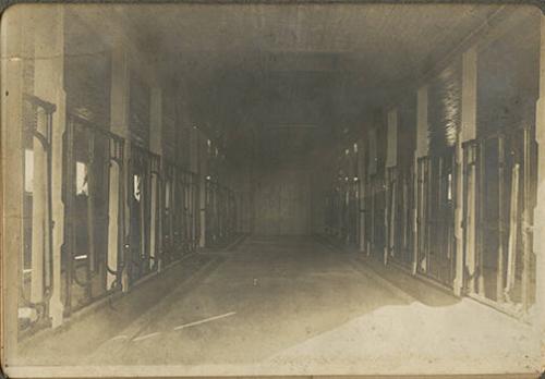 Milking Bay Interior