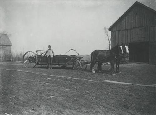 Man with Manure Spreader and Horses