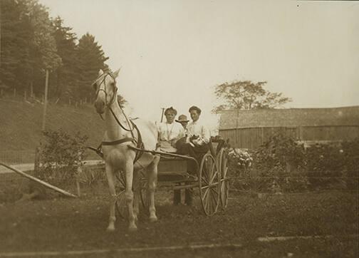 Women on Horse-Drawn Carriage
