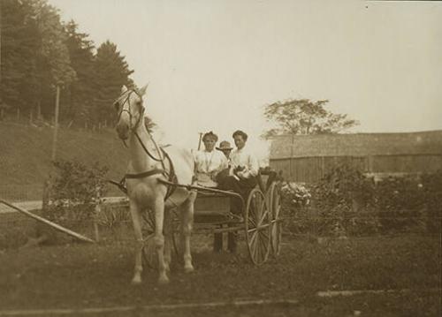 Women on Horse-Drawn Carriage